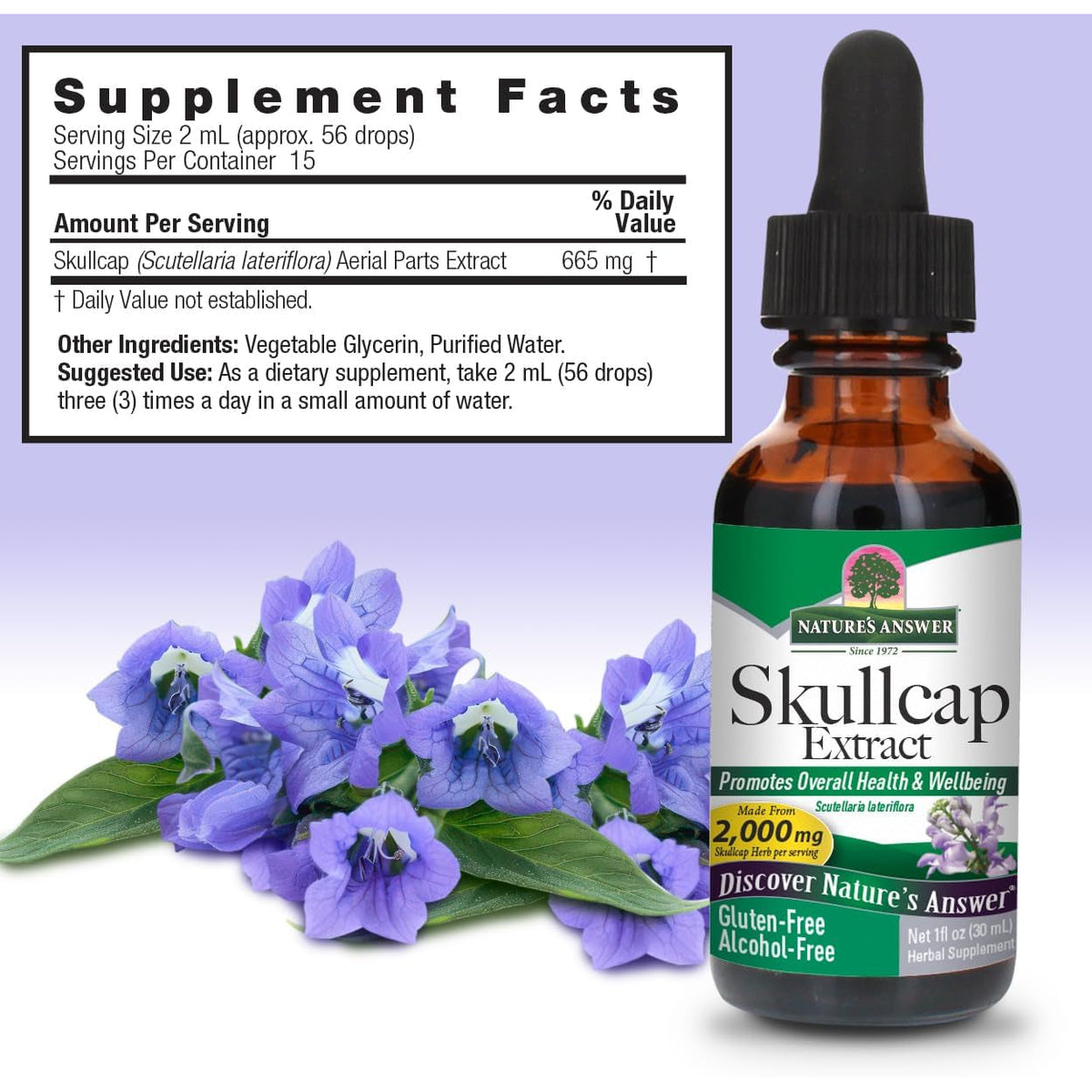 Nature'S Answer Alcohol-Free Skullcap Herb, 1-Fluid Ounce