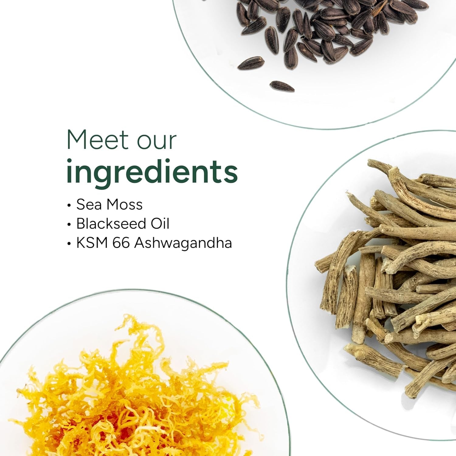 ROOT LABS Sea Moss Gummies I 92+ Minerals I Black Seed Oil I KSM 66 Ashwagandha I Lab Tested I No Added Sugar | for Men, Women I Non-Gmo I 100% Natural & Organic I 1600 Mg I 60 Gummy