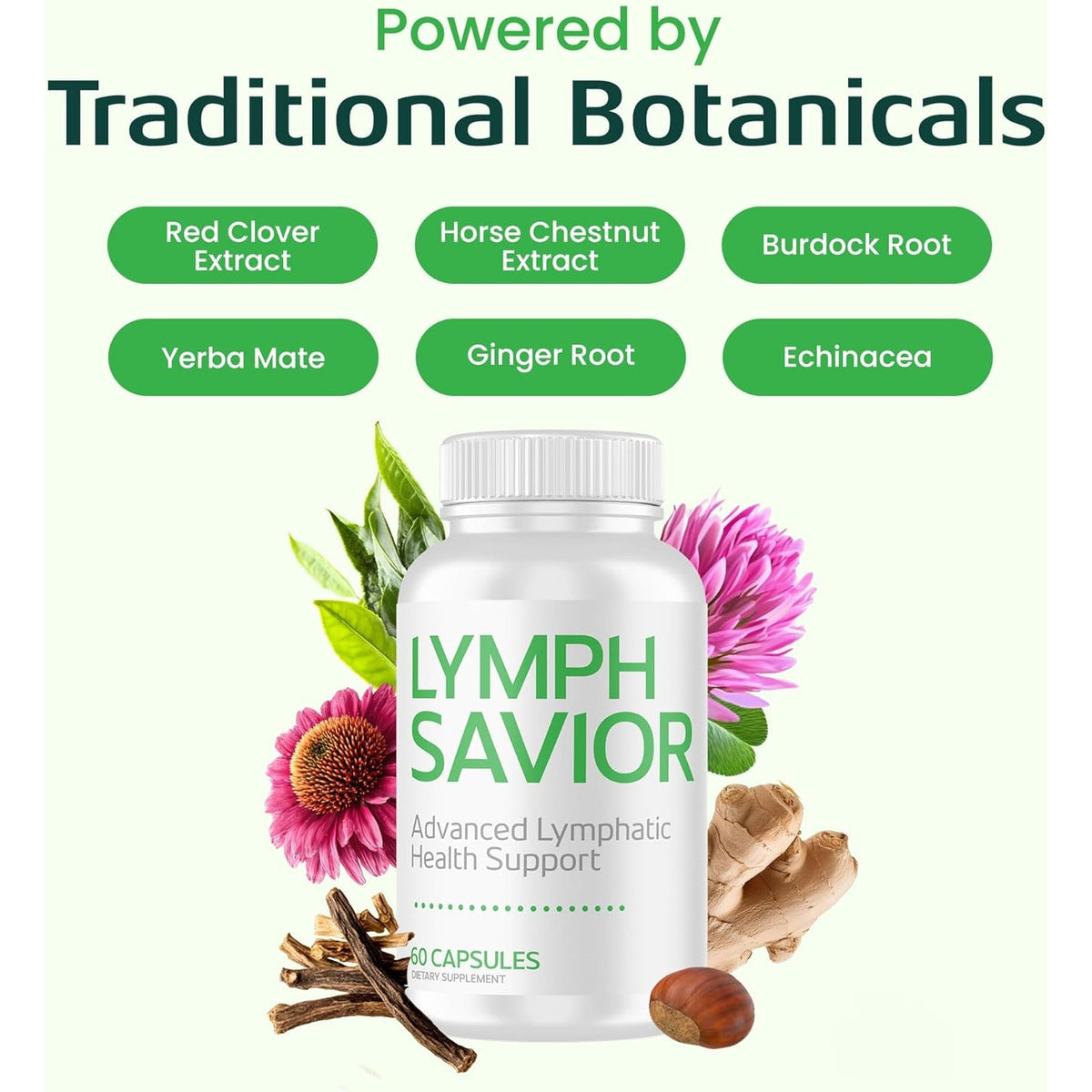 Plant-Based Lymphatic Support Supplement with Red Clover, Horse Chestnut & Burdock Root for Fluid Balance & Daily Wellness - Non-Gmo, Made in USA - 30-Day Supply, 1 Bottle