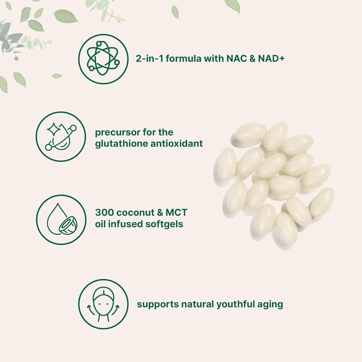 Micro Ingredients NAC Supplement 600Mg with NAD+ & Coconut Oil, 300 Softgels | 2-In-1 N Acetyl L Cysteine plus Nicotinamide Forms | NAD Supplements for Women & Men | Non-Gmo, Gluten Free
