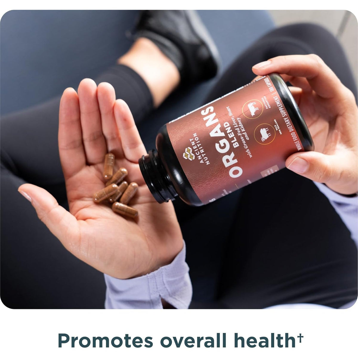 Ancient Nutrition Organ Supplements, Grass-Fed and Wild Organ Complex Capsules, Liver, Heart, Kidney Supports Organ, Cognitive, and Immune System Health, 180 Ct