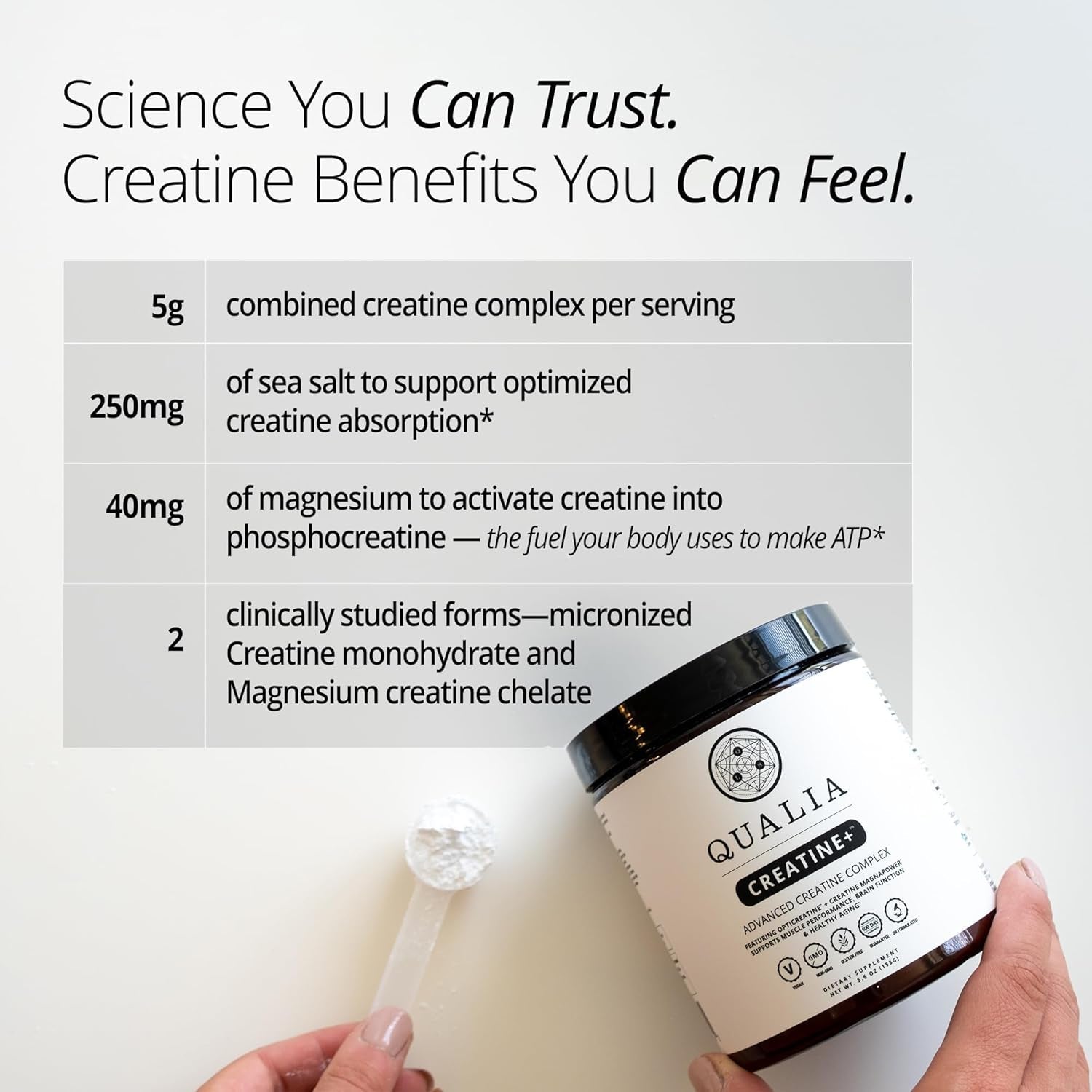 Qualia Creatine | Advanced Creatine Complex | 2 Sources + Magnesium | Optimized Absorption | Muscle Performance, Brain Function, & Healthy Aging (30 Servings)