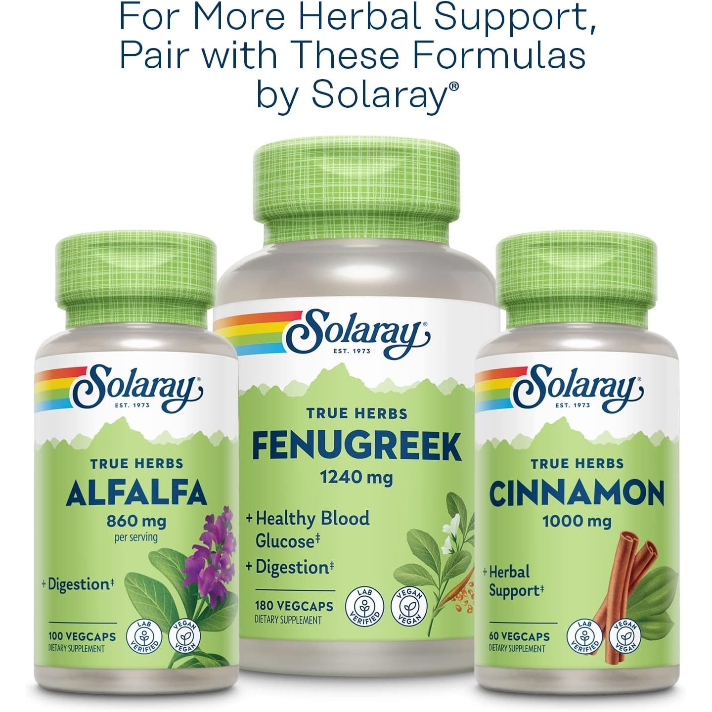 SOLARAY Nopal Prickly Pear Cactus Capsules - 500 Mg per Serving, Rich in Naturally Occuring Fiber, Antioxidants, and Carotenoids, Provides Key Nutrients in a Vegan Formula - 100 Count Vegcaps