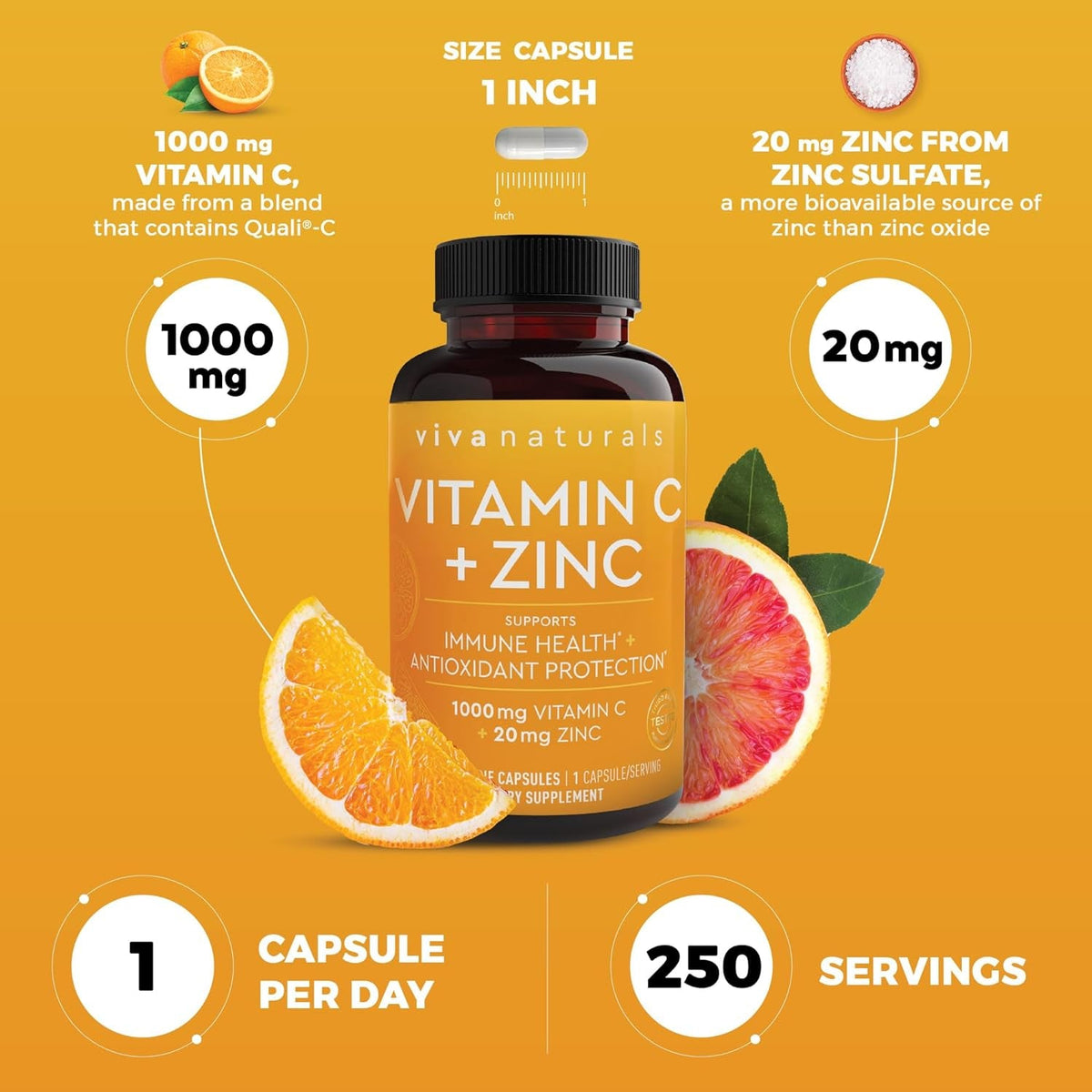 Viva Naturals 1000 Mg Vitamin C and Zinc 20 Mg Supplement - Proprietary Blend of Ascorbic Acid Vitamin C with Rose Hips and Bioflavonoids for Immune Support -250 Veggie Capsules with 8 Months Supply