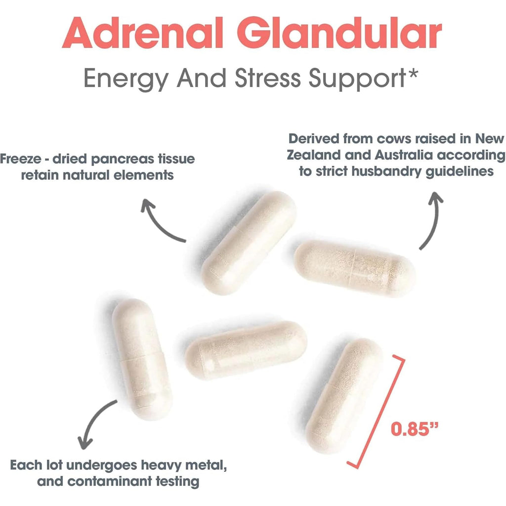 Allergy Research Group ARG Adrenal Cortex - Supports Healthy Stress Response & Metabolism - Delivers 150 Mg Freeze-Dried Bovine Adrenal Cortex Tissue - 100 Servings - 150 Capsules