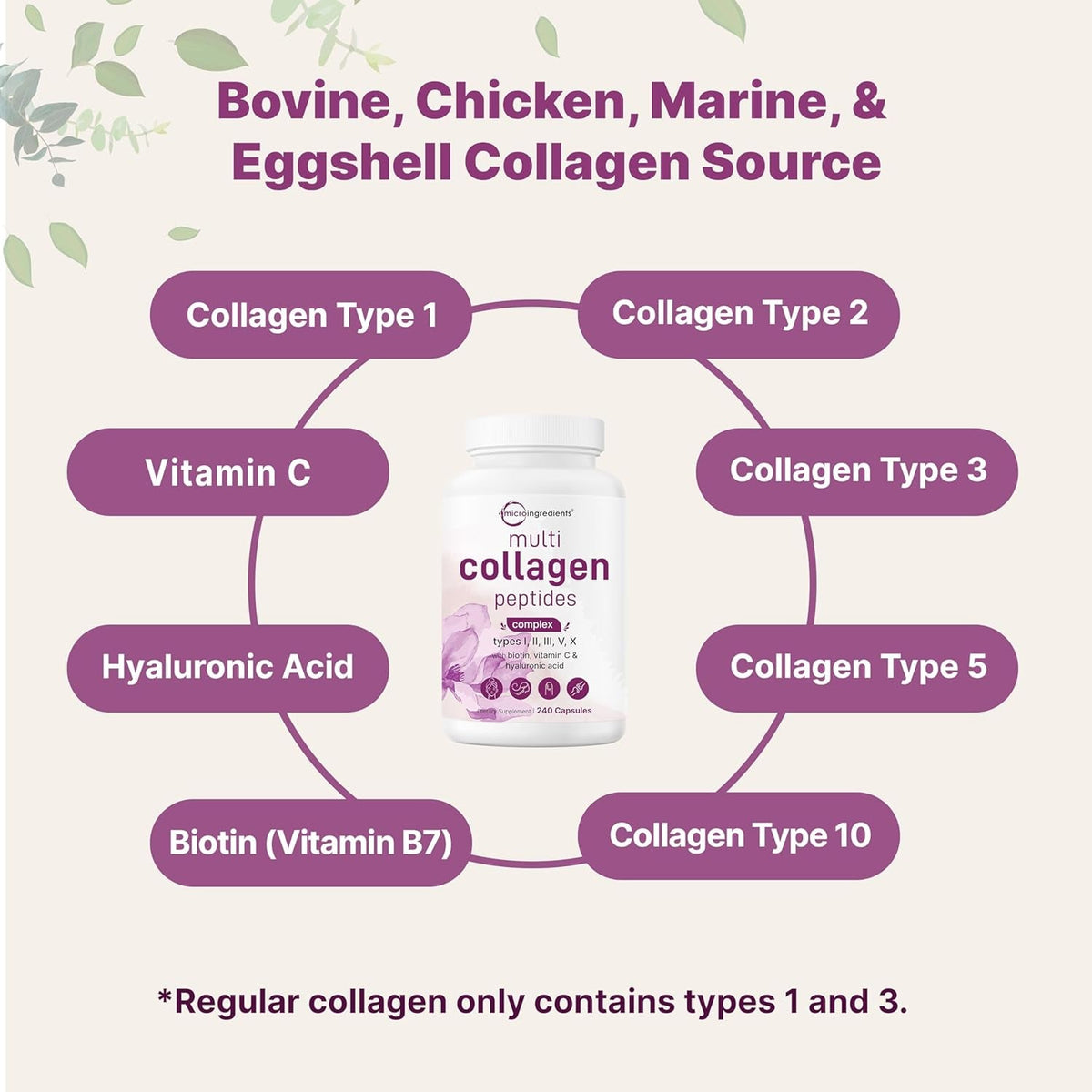 Micro Ingredients Multi Collagen Pills for Women & Men, 240 Capsules | Type I, II, III, V, X | Hydrolyzed Peptides with Biotin, Hyaluronic Acid, & Fat Soluble Vitamin C Complex | Non-Gmo, Filler Free