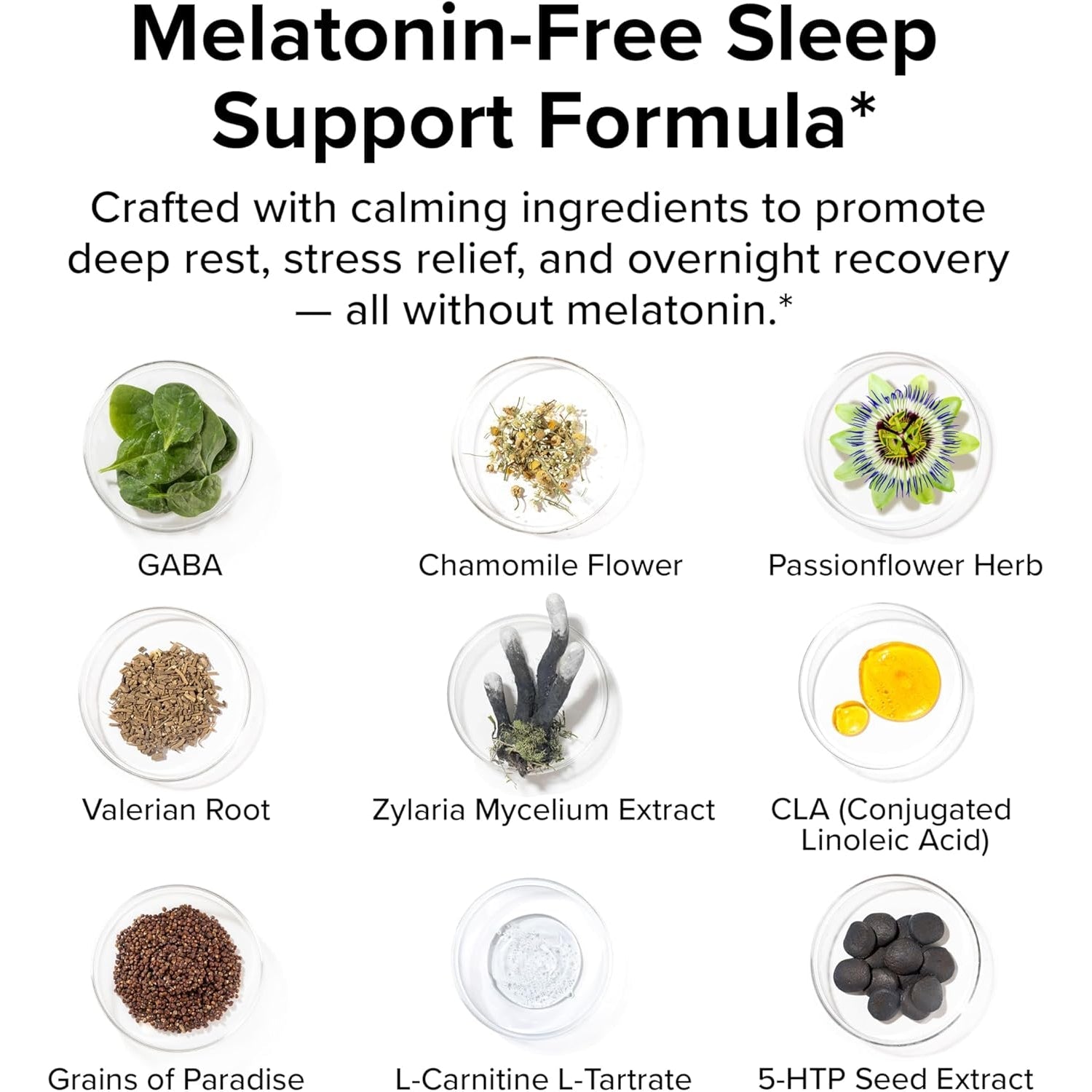 Night Shred Black Melatonin-Free - Night Time Fat Burner, Weight Loss, and Natural Sleep Support - GABA Complex with Ashwagandha, CLA, Grains of Paradise - Thermogenic Fat Burner - 90 Vegan Capsules