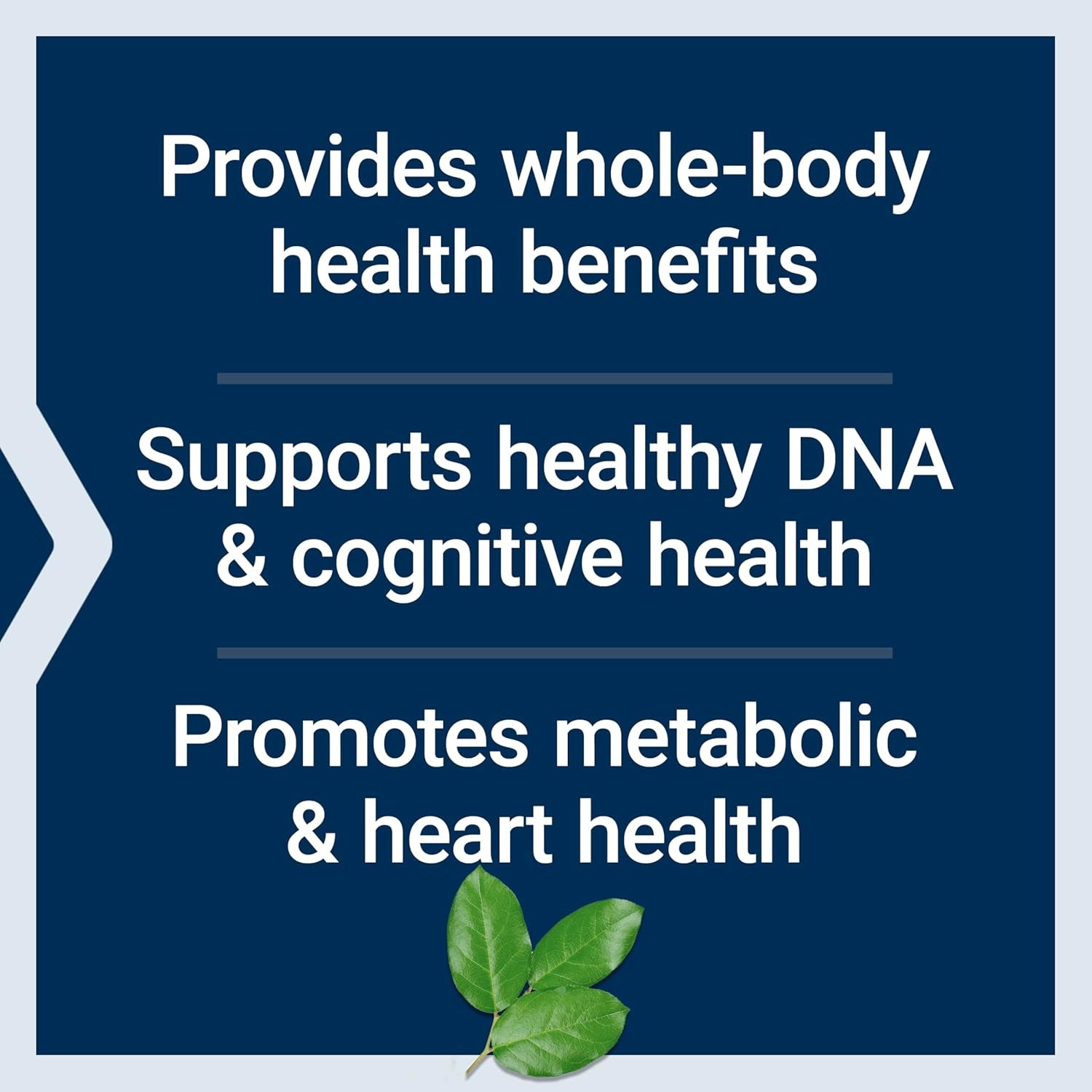 Life Extension Mix™ Powder, High Potency, Advanced Vitamin, Mineral, Fruit & Vegetable Formula, Vitamin B, C, D, E, Magnesium, for Whole-Body Health, Healthy Aging, Gluten-Free, 12.70 Oz