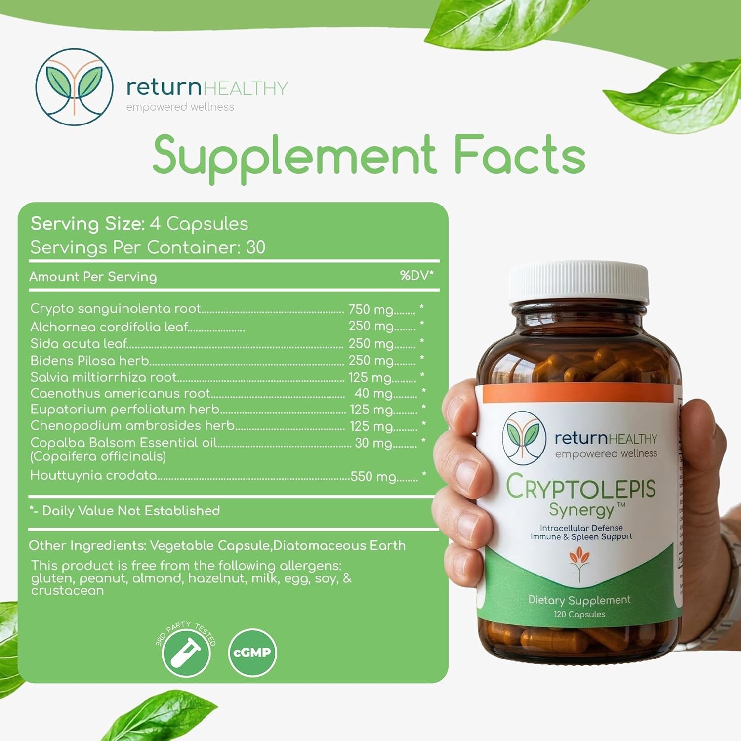 Cryptolepis Synergy, Immune Support Vitamins, Immune System Booster for Adults, Liver, Lymphatic, & Immune Support Supplement, Supports Lyme & Natural Parasite Defense, 120 Capsules