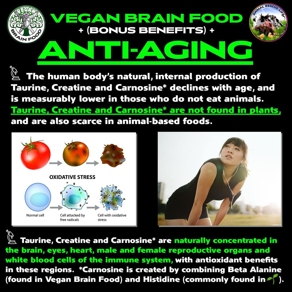 Vegan Brain & Body Boost: the Cherry on Top of a Plant-Based Lifestyle | Working Intelligence | Anti-Aging | Physical Fitness | Vegan Amino Acids - Creatine, Taurine & Beta Alanine | 67 Servings/500G