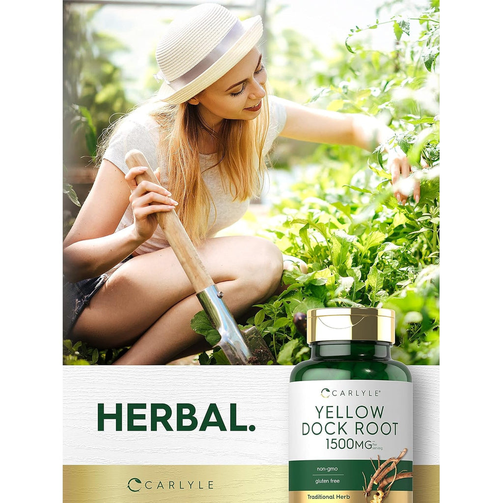 Carlyle Yellow Dock Root Capsules | 200 Count | Non-Gmo, Gluten Free | High Potency Formula | Traditional Herb