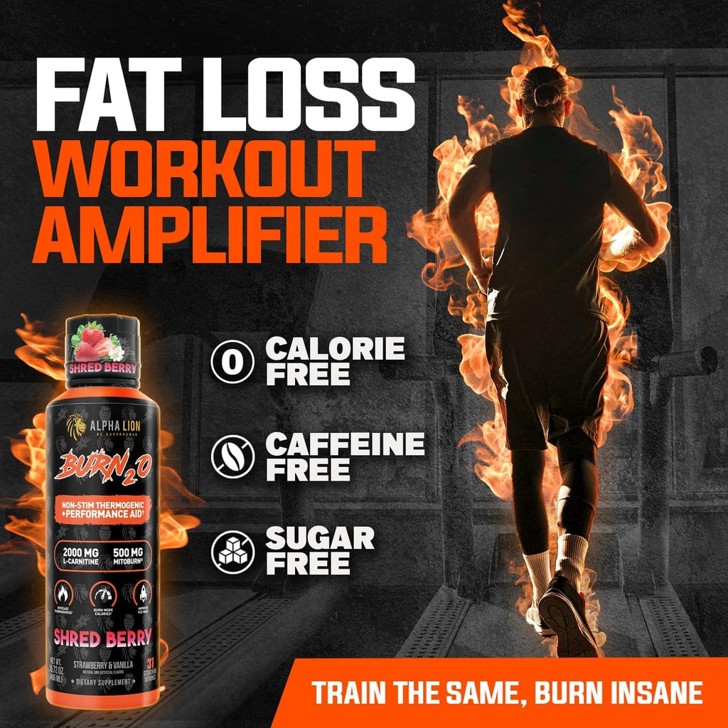ALPHA LION Burn2O L-Carnitine Liquid 2000Mg, Premium Liquid Fat Burner & Pre-Workout Supplement for Men & Women - Natural Energy & Metabolism Booster for Weight Loss - Shredberry