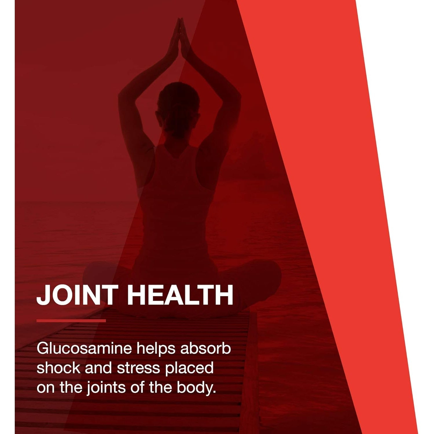 PROTOCOL for LIFE BALANCE Glucosamine & Chondroitin with MSM - Joint Support* - Chondroitin MSM Supplement - Non-Gmo & Dairy Free - 180 Veg Caps