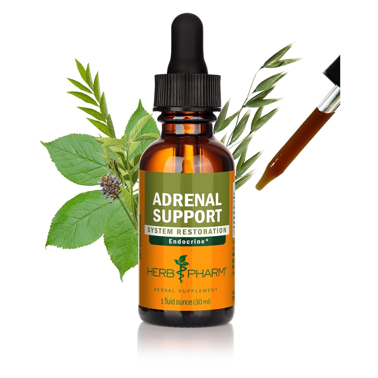 Herb Pharm Adrenal Support Liquid Herbal Formula with Eleuthero and Licorice Liquid Extracts - 1 Ounce