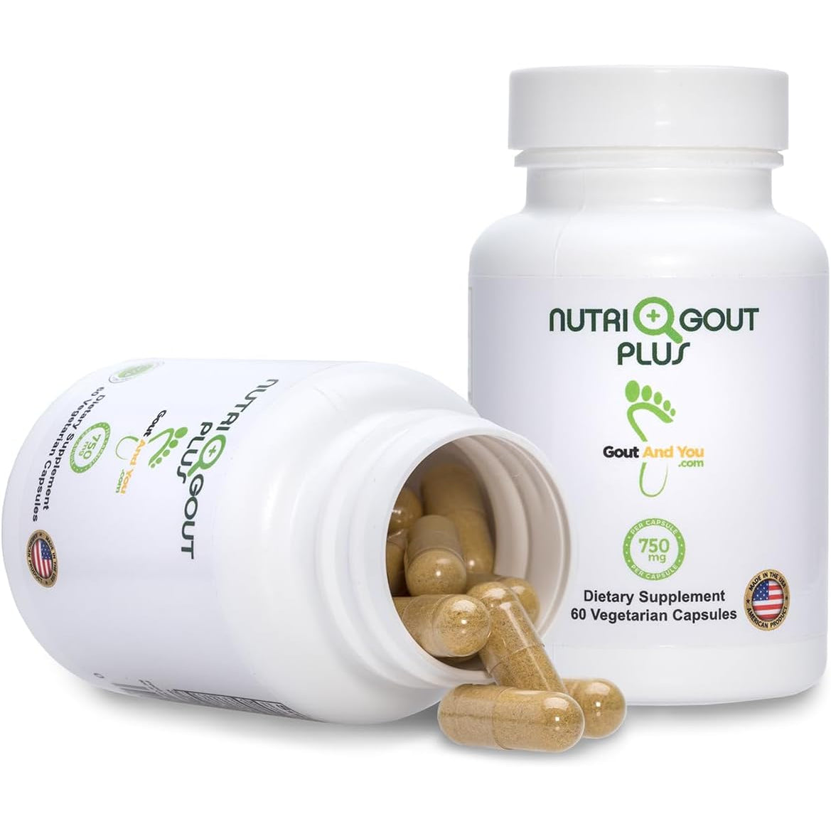 Gout and You Nutrigout plus - Uric Acid Support Premium Formula - 60 Vegetarian Capsules - 750 Mg per Capsule