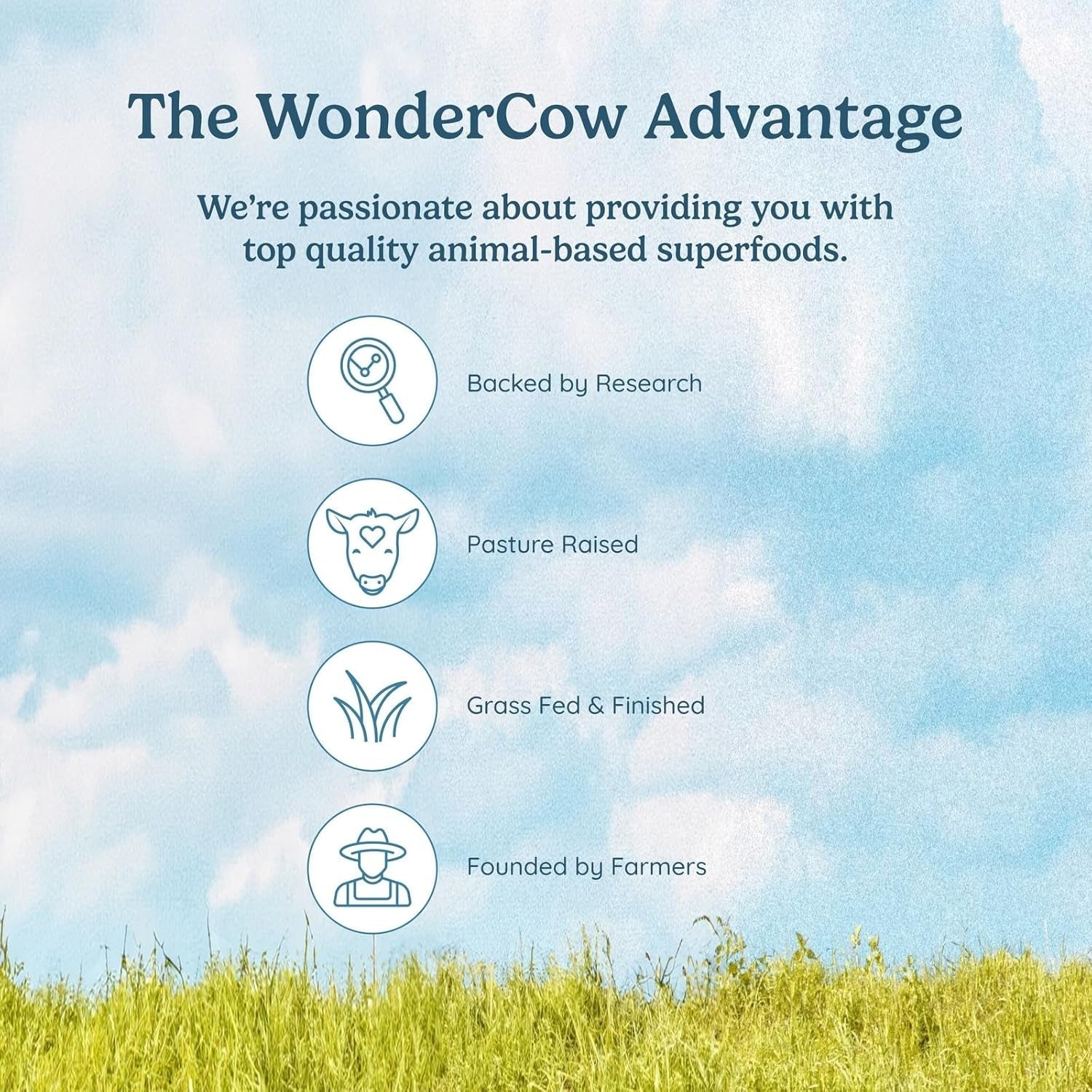 WONDERCOW Beef Liver Capsules Grass Fed Supplement - Desiccated & Natural Source of Protein, Iron, Vitamins a & B- Boosts Energy and Immunity | USA Grown, Non-Gmo, Gluten Free