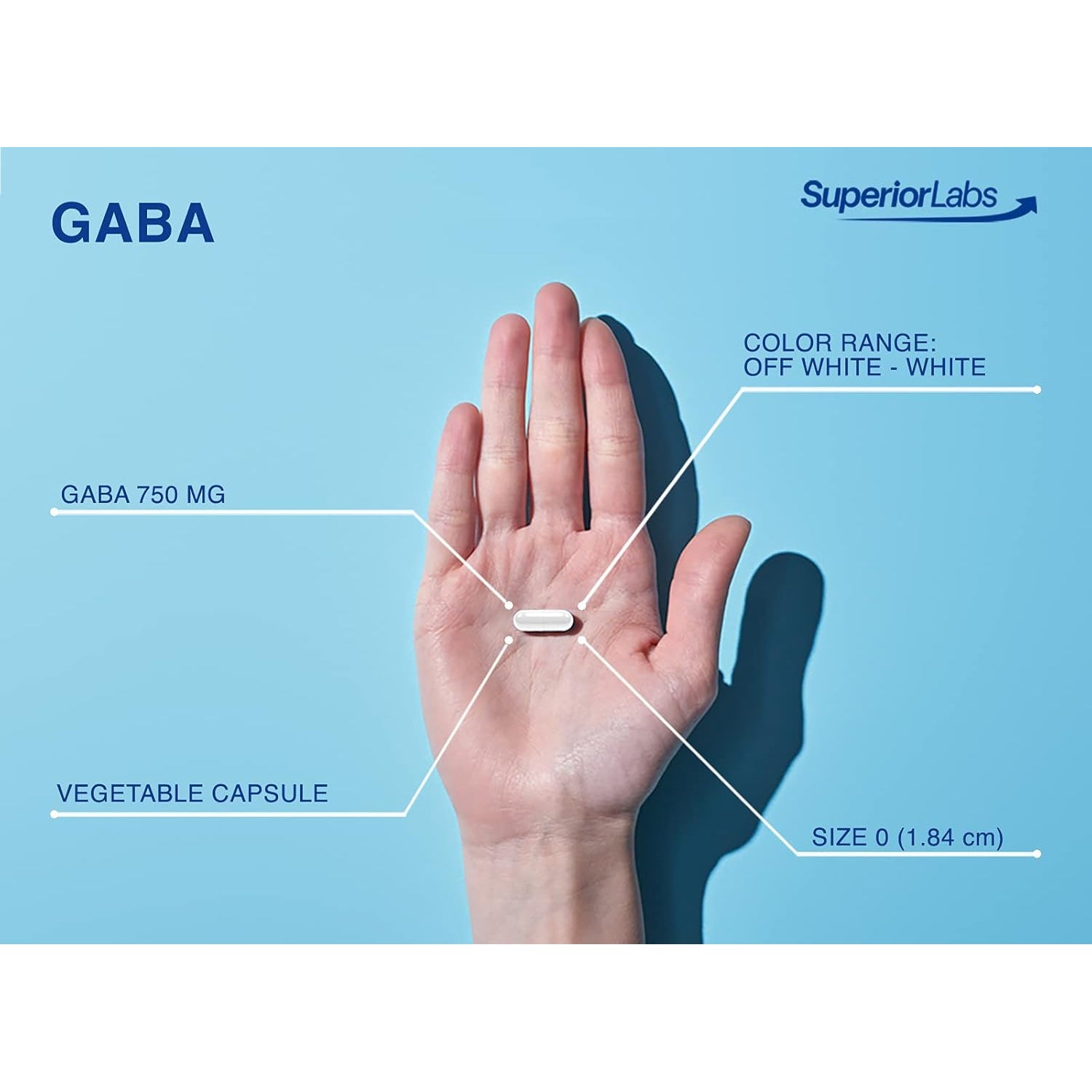Superior Labs | GABA Supplement 750Mg | Maximum Strength Mood Enhancement | Natural Relief of Simple Nervous Tension, Promotes Mood Balance, Sleep Quality, and Natural Brain Function*