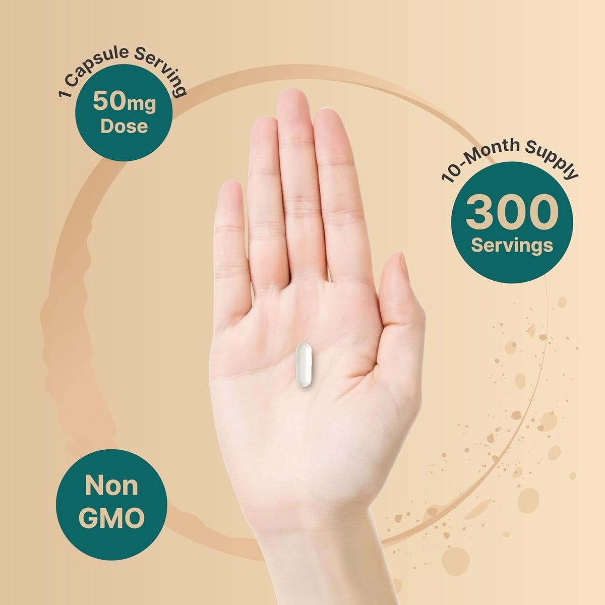 Naturebell DHEA 50Mg for Men & Women, 300 Capsules | Micronized for Better Absorption | Plant-Based Source | Supports Energy, Metabolism & Healthy Aging | Non-Gmo, Made in USA