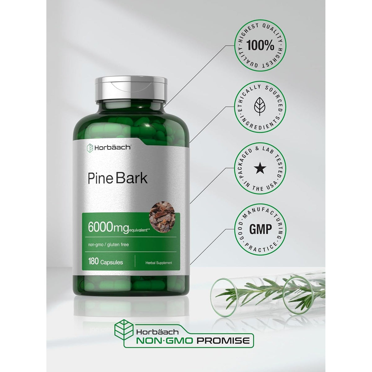 Horbäach Pine Bark Extract | 180 Capsules | Standardized to Contain 75% Proanthocyanidins | Non-Gmo, Gluten Free Supplement | High Potency