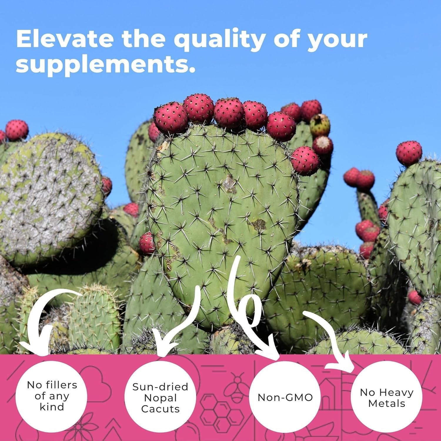 Nopal Cactus Capsules 1500Mg- Organic Sun-Dried Prickly Pear Cactus Powder & Black Pepper Extract for Absorption- Natural Prickly Pear Super Supplement- Fiber, Vitamins and Minerals 240 Capsules