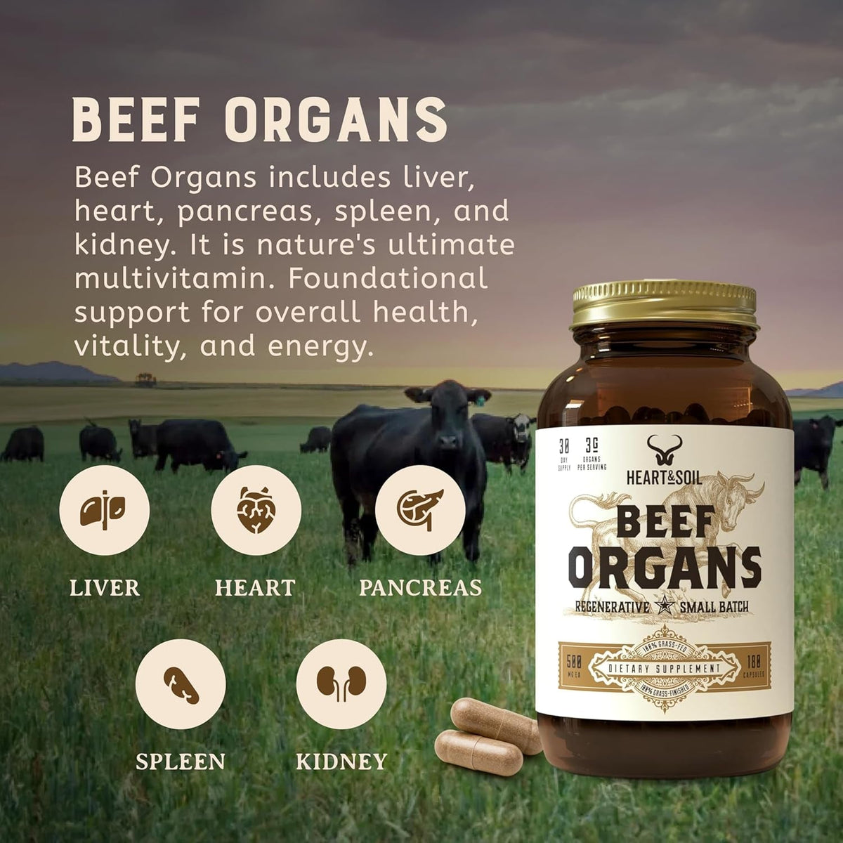 HEART & SOIL – 100% Grass Fed & Finished Beef Organs from Regenerative Cattle with Liver, Heart, Kidney, Pancreas & Spleen – 3000Mg Beef Organ Supplement for Women & Men – Glass Bottle – 180 Capsules
