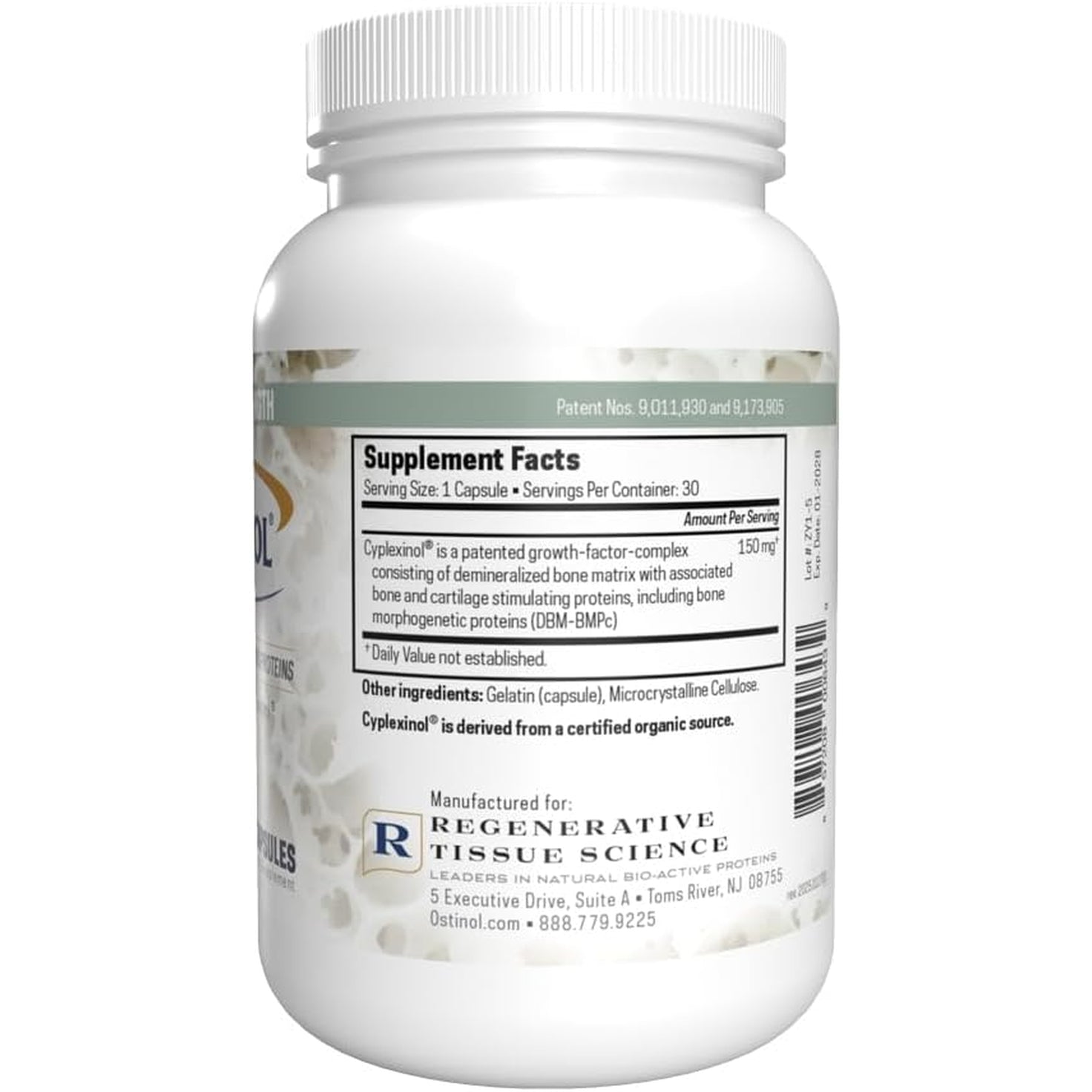 Ostinol Standard 150Mg - Bone & Joint Supplement | Stem Cell Activation Certified | Bio Active Protein Complex for Mild Bone Loss & Mild Joint Dysfunction - 30 Capsules