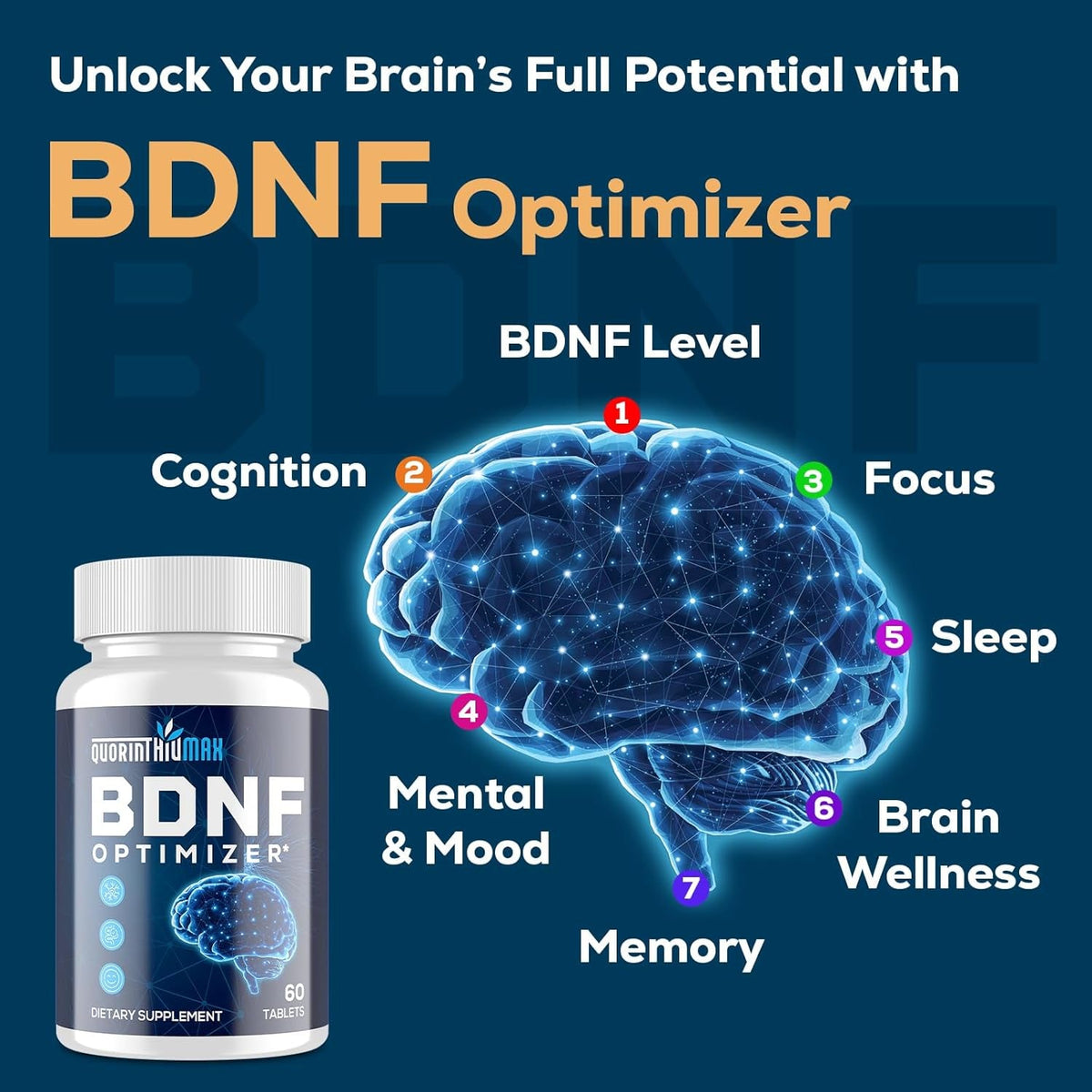 Nootropic Brain Supplement for Memory and Focus – BDNF Optimizer – Cognitive, Mental Clarity & Mood – High Absorption – Organic Lion'S Mane, L-Theanine, Ginkgo Biloba & Alpha GPC – 60 Tablets