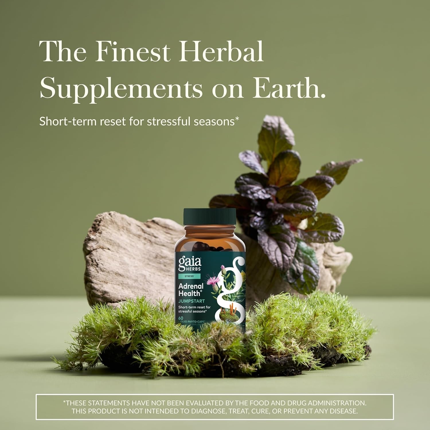 Gaia Herbs Adrenal Health Jumpstart - Helps Sustain Healthy Energy & Stress Levels* - with Cordyceps, Schisandra, Rhodiola & Licorice - 60 Vegan Liquid Phyto-Capsules (30 Servings)