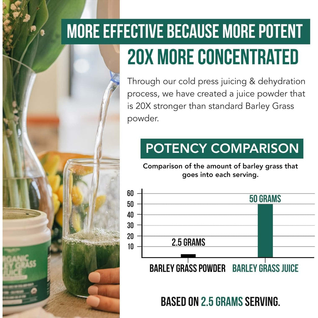 Organic Barley Grass Juice Powder - Grown in Volcanic Soil of Utah - Raw & Bioactive Form, Cold-Pressed Then CO2 Dried – Gluten Free, GMO Free, Vegan - Complements Wheatgrass Juice Powder - 5.3 Oz