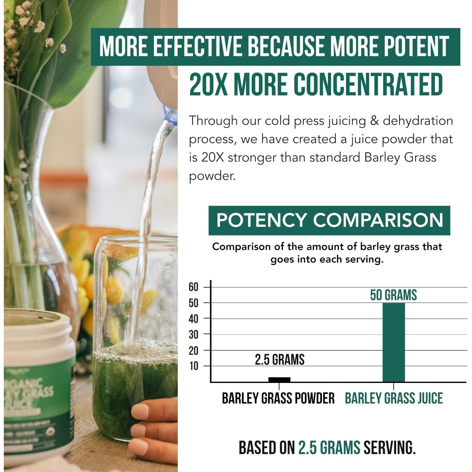 Organic Barley Grass Juice Powder - Grown in Volcanic Soil of Utah - Raw & Bioactive Form, Cold-Pressed Then CO2 Dried – Gluten Free, GMO Free, Vegan - Complements Wheatgrass Juice Powder - 5.3 Oz