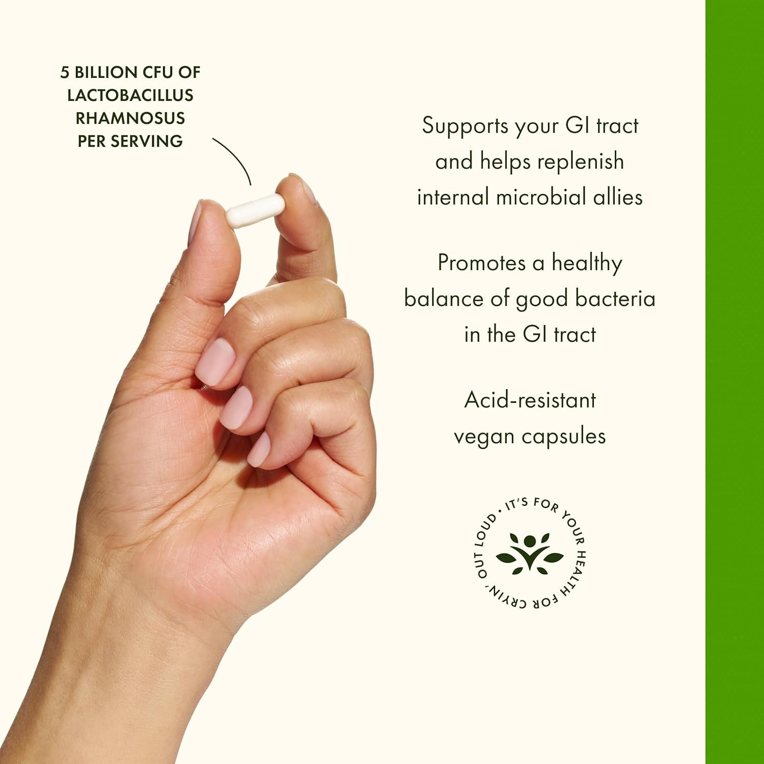 Swanson Lactobacillus Rhamnosus with FOS - 5 Billion CFU - Digestive Health Support with Fructooligosaccharides - Probiotic Support for Gastrointestinal Health* - Vegan - 60 Veggie Caps