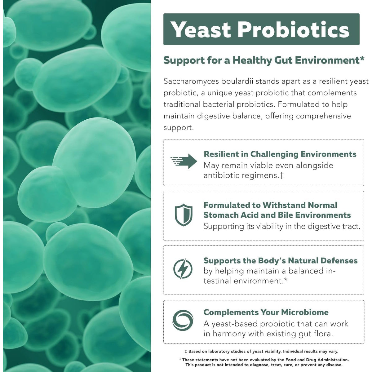 Organic Saccharomyces Boulardii - 10 Billion CFU - Clinically Validated CNCM I-1079 Probiotic Strain - Gut, Digestion & Healthy Bowel Support - First Organic Form of S. Boulardii Probiotic - 60 Count