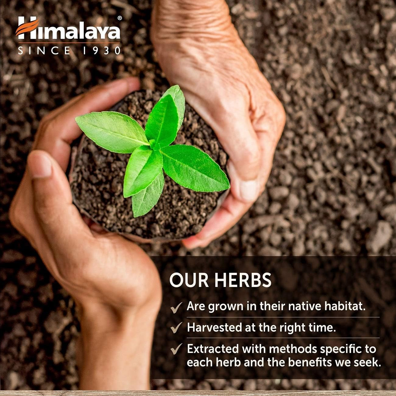 Himalaya Glucocare – Herbal Glucose Metabolism & Pancreatic Support with Bitter Melon, Gymnema, Triphala & Turmeric – Natural Blood Sugar Support – Vegan, Non-Gmo, Gluten-Free – 90 Capsules