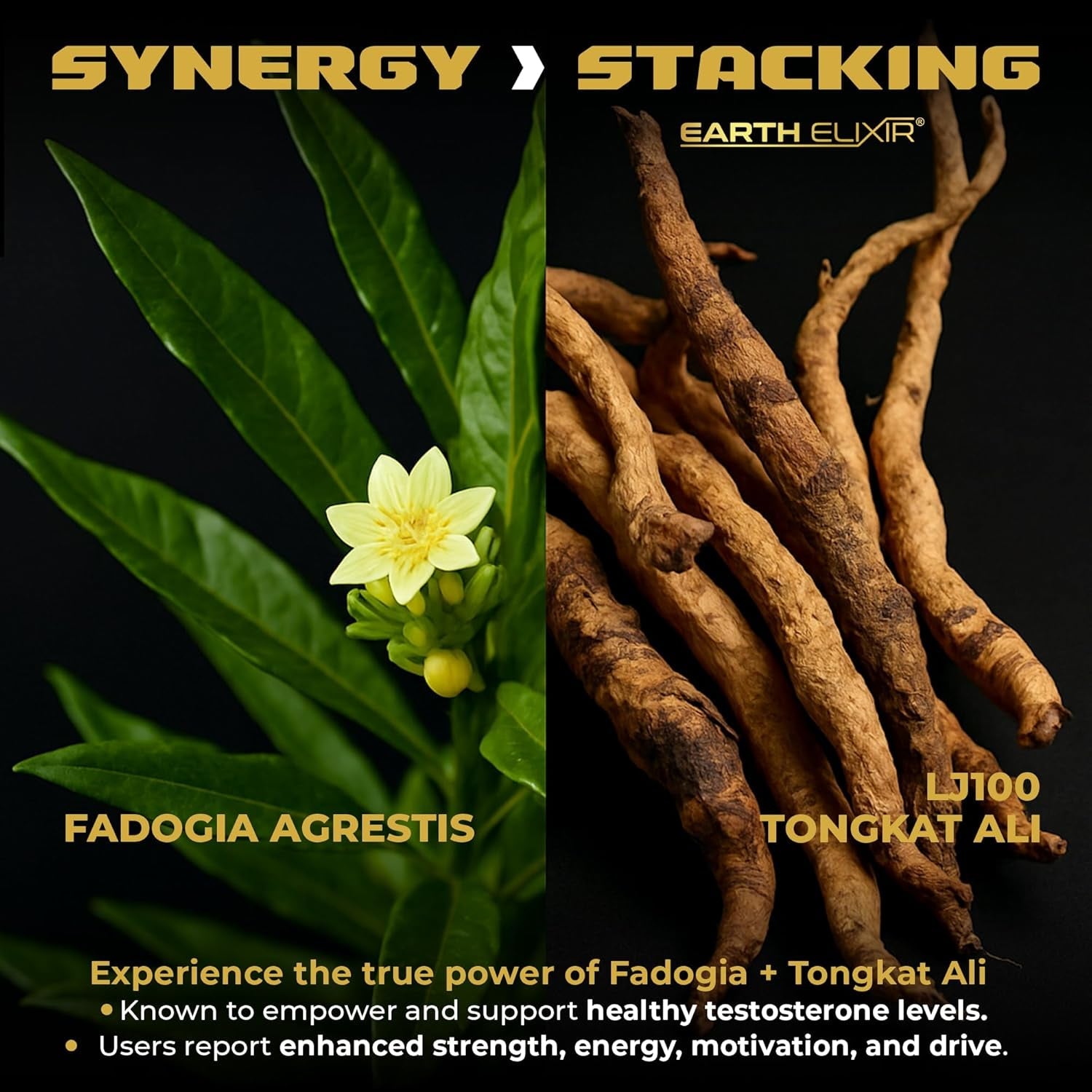 Earth Elixir LJ100 Tongkat Ali & Fadogia Agrestis for Men – Natural Testosterone Supplement - Made in USA & 3Rd Party Tested for Strength, Energy & Vitality - Clinically Studied Tongkat Ali LJ100