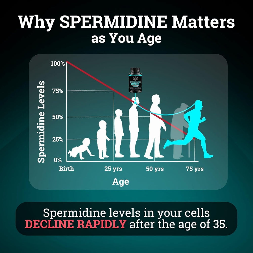 Spermidine Supplement (1440Mg of 99% Pure Spermidine Supplements for Women & Men) 4 Months Supply (100X More Potent than Wheat Germ Extract) 12MGS per Serving for Cellular Health, Anti-Aging & Energy