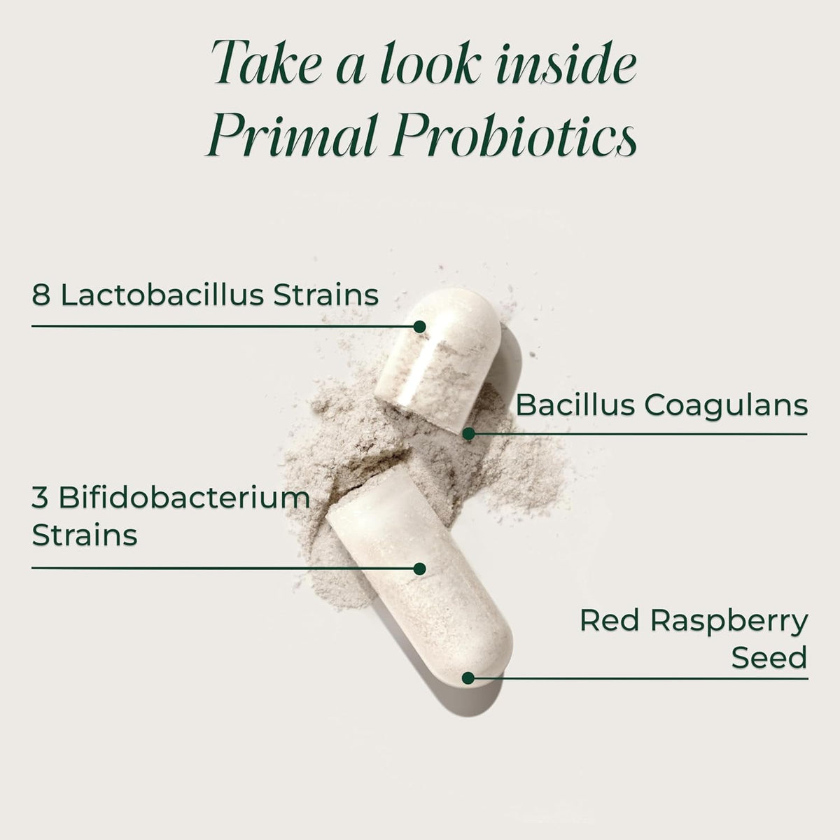 Primal Harvest Probiotics for Women & Men Daily Probiotic Supplement with 12 Strains for Gut & Digestive Health 30 Capsules