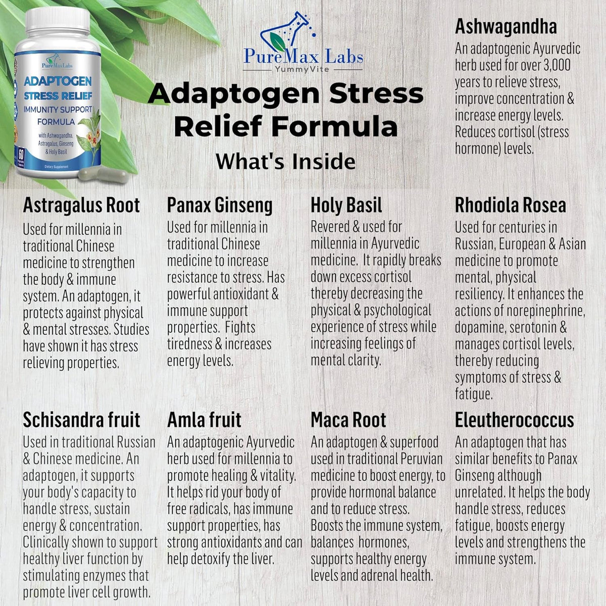 Adaptogen Stress Relief Immune Support Formula - Adaptogenic Adrenal Support with Ashwagandha, Astragalus, Ginseng, Holy Basil, Rhodiola, Amla, Maca, Schisandra, Non-Gmo - 60 Capsules