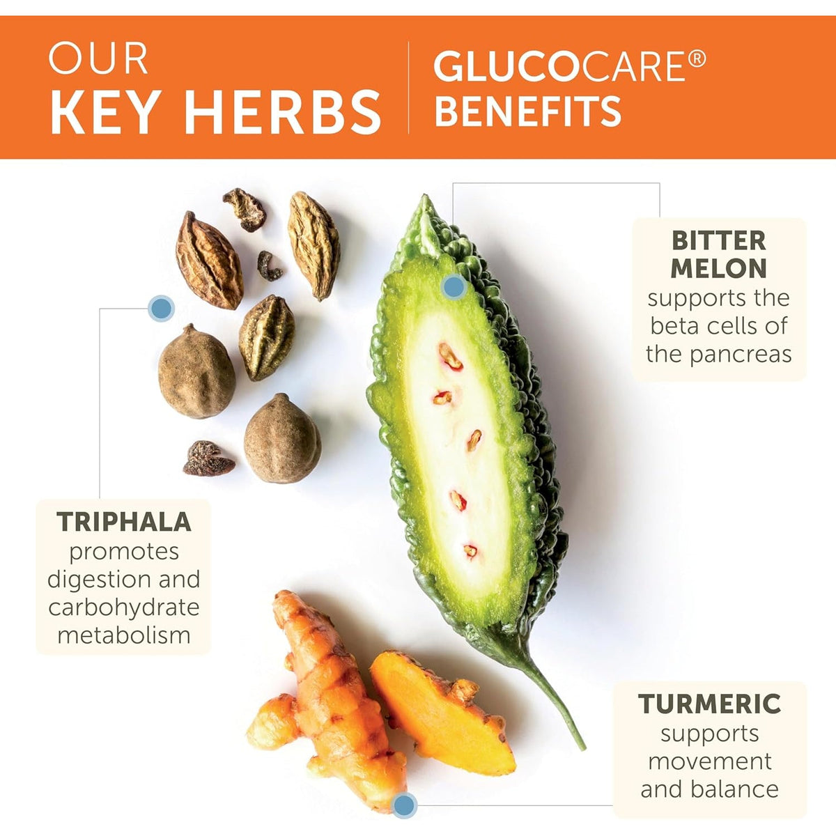 Himalaya Glucocare – Herbal Glucose Metabolism & Pancreatic Support with Bitter Melon, Gymnema, Triphala & Turmeric – Natural Blood Sugar Support – Vegan, Non-Gmo, Gluten-Free – 90 Capsules