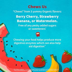 Garden of Life Dr. Formulated Probiotics Organic Kids+ plus Vitamin C & D - Berry Cherry - Gluten, Dairy & Soy Free Immune & Digestive Health Supplement, No Added Sugar, 30 Chewables (Shelf Stable)