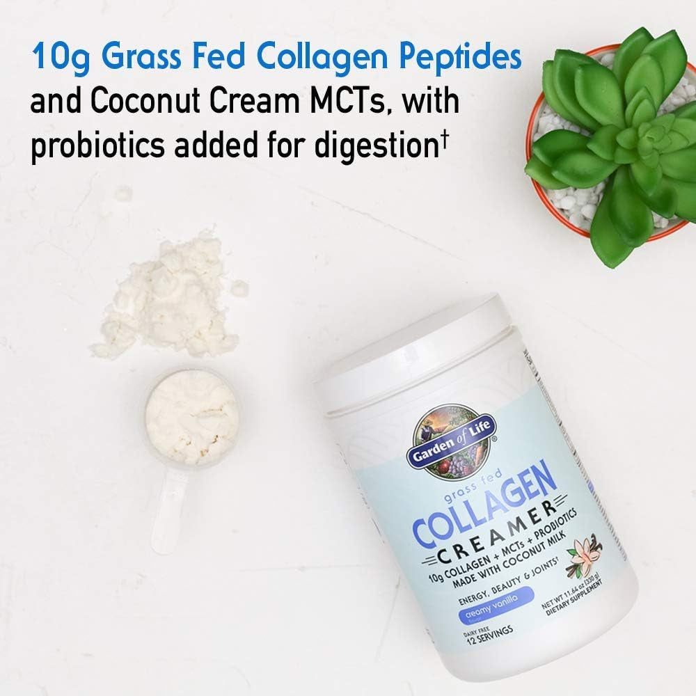 Garden of Life Grass Fed Collagen Creamer Powder - Creamy Vanilla, 12 Servings, Powder for Coffee Energy Beauty Joints, Collagen Peptides with Coconut Mcts, Keto Protein Supplements