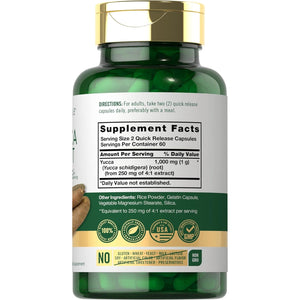 Carlyle Yucca Root Extract | 120 Capsules | Herbal Supplement | Non GMO and Gluten Free
