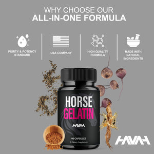 Havah Horse Gelatin Advanced Overall Support Capsules, Horse Gelatin Advanced All Natural Health Management and Overall Wellness Support Supplement Formula Pills (1 Pack - 60 Capsules)