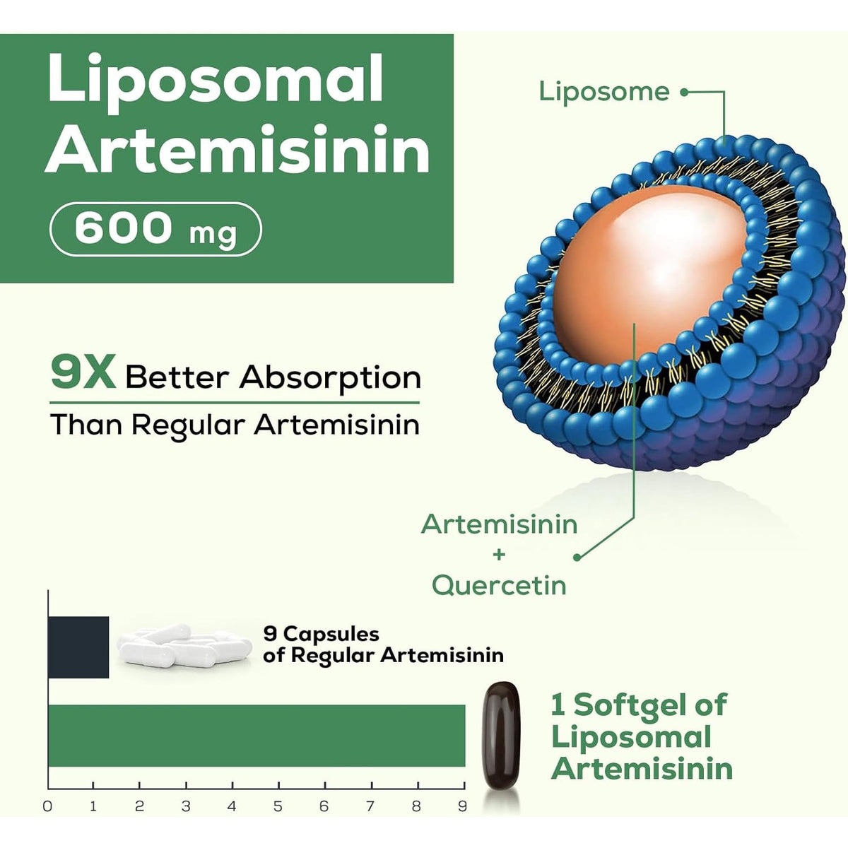 900 Mg Liposomal Artemisinin for Maximum Absorption, Sweet Wormwood Extract(Artemisia Annua) with Quercetin Phytosome 200 Mg, 120 Softgels