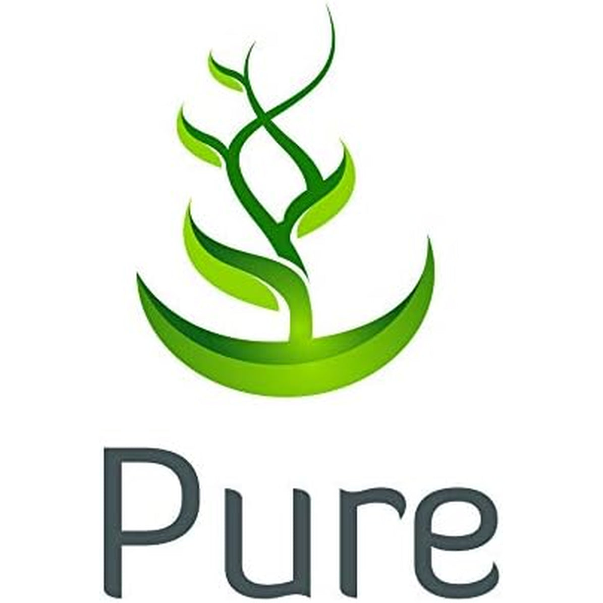 PURE ORIGINAL INGREDIENTS White Peony, (100 Capsules) Always Pure, No Additives or Fillers, Lab Verified