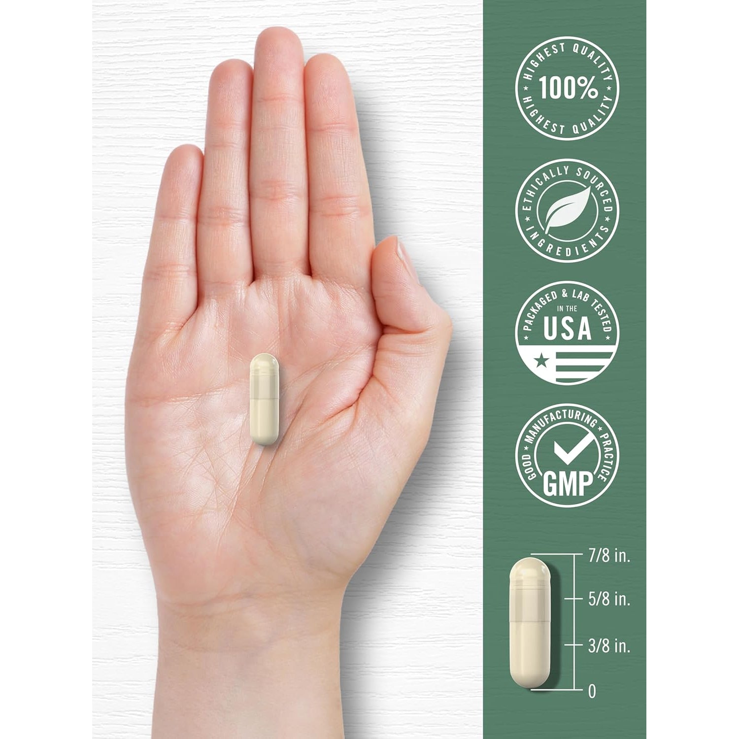 Carlyle Red Marine Algae 1600Mg | 200 Capsules | Vegetarian Supplement | Non-Gmo, Gluten Free
