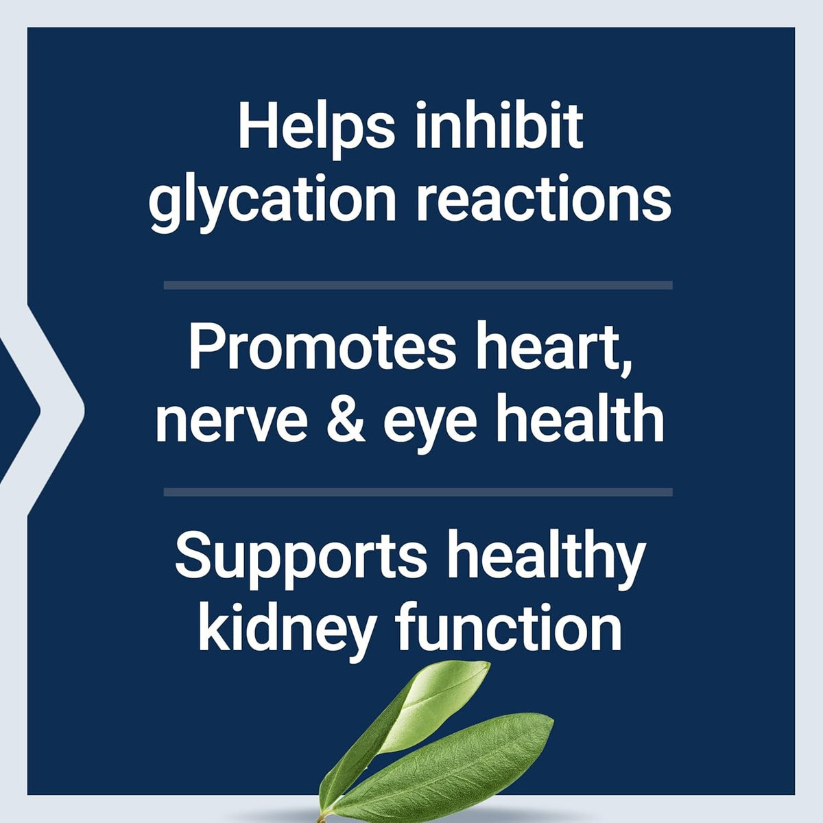 Life Extension Vitamin B6, 250 Mg, High Potency, Cardiovascular Health, Neurological Health, Eye Health, Healthy Kidney Function, Gluten-Free, Non-Gmo, Vegetarian, 100 Capsules