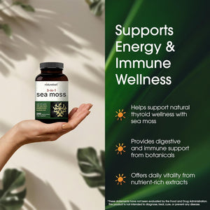 Naturebell 3-In-1 Sea Moss - 240 Vegetarian Capsules - Sea Moss Complex with Organic Bladderwrack & Organic Burdock Root - Healthy Digestion, Vitality & Immune Support*