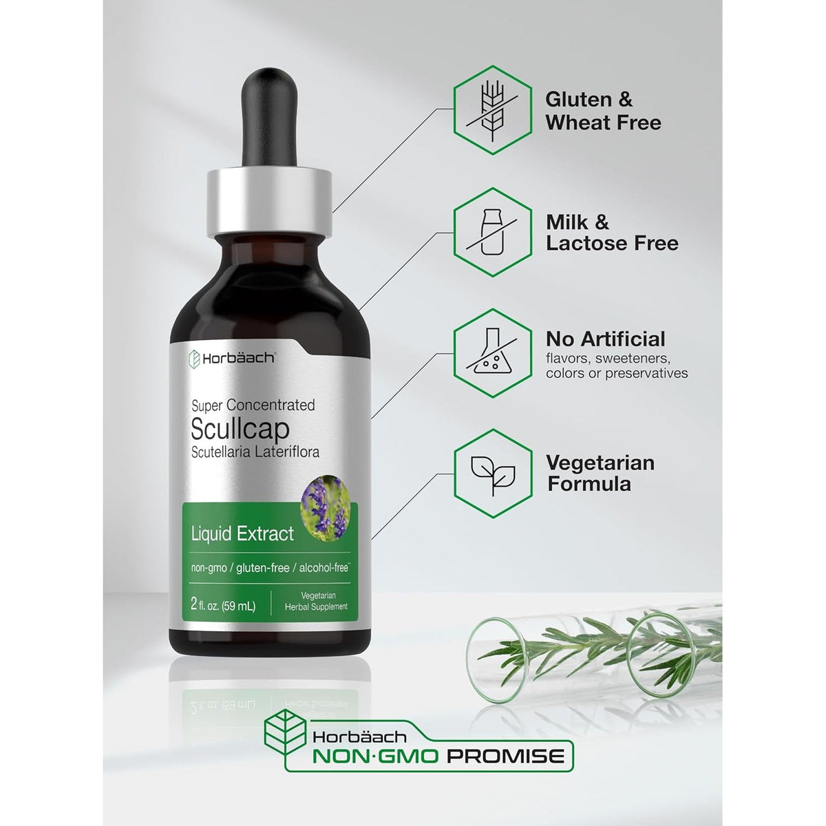 Horbaach Scullcap Herb Tincture | 2 Fl Oz | Liquid Extract Drops | Scutellaria Lateriflora | Alcohol Free, Vegetarian | Super Concentrated Supplement | Non-Gmo & Gluten Free