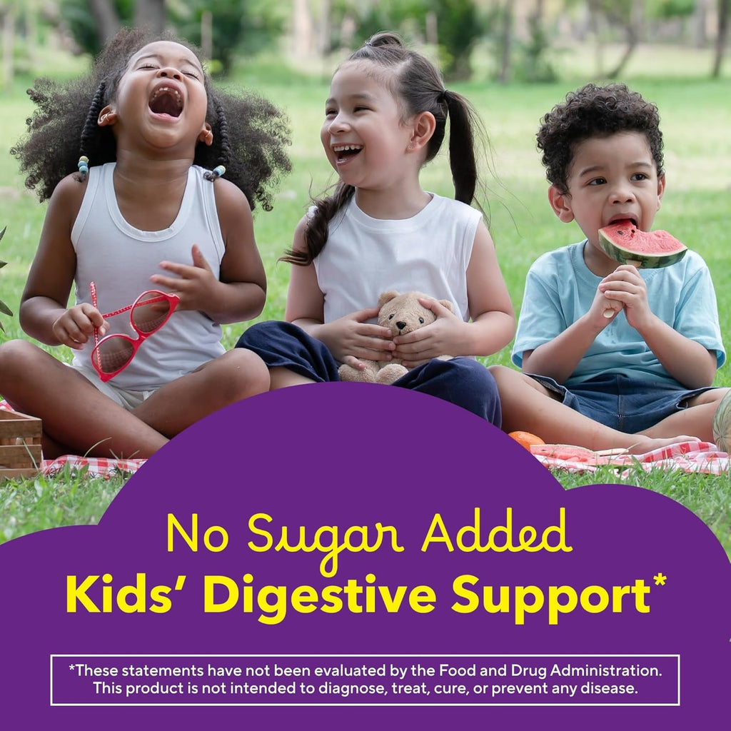L’Il Critters Fiber Daily Gummy Supplement for Kids, for Digestive Support, Berry and Lemon Flavors, 90 Gummies
