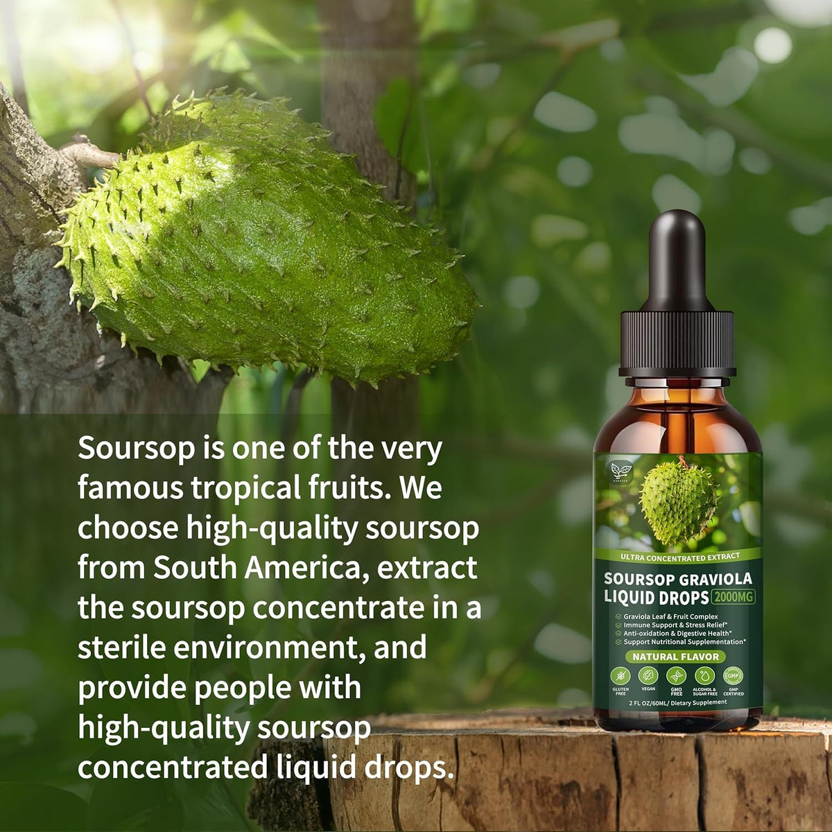 Soursop Graviola Liquid Drops 2000Mg, Organic Soursop Extract - 98% Absorption Soursop Bitters Liquid for Cell Support & Regeneration and Immune Boost, Sugar/Gluten Free, Natural Flavor, 2 Fl Oz